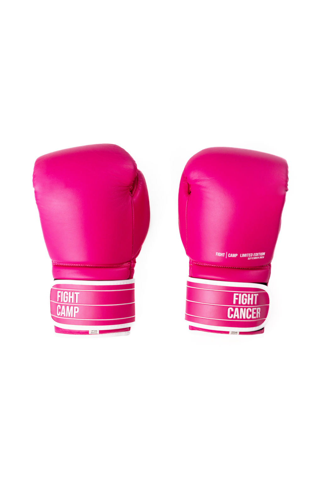Boxing gloves sales and pads kmart